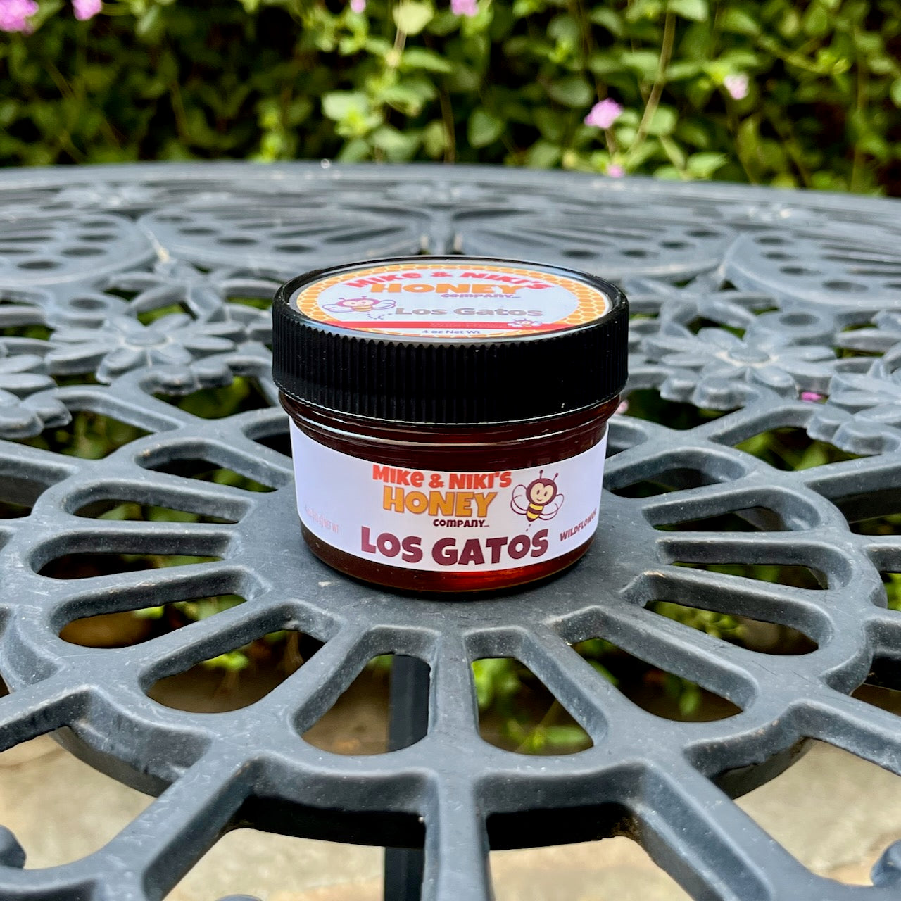 Los Gatos Wildflower Honey Extra-Large Squeezable Plastic